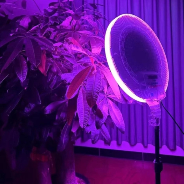 سافت لایت RGB مدل GS-330 همراه پایه نگهدارنده و هولدر موبایل مخصوص تولید محتوا